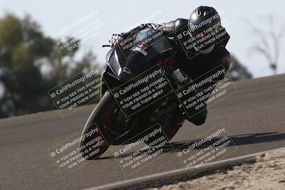 media/Nov-02-2025-Lets Ride (Sun) [[f7a3caa734]]/B Group/1120am (Turn 2 Inside)/